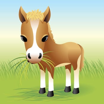 Vector illustration of a baby horse. If you like this illustration, check out our baby animal collection.    You can use any vector compatible software to open/modify/use the file. The different graphics are on separate layers so they can be easily edited