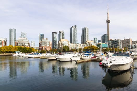 This photo was shot from Toronto city in autumn.