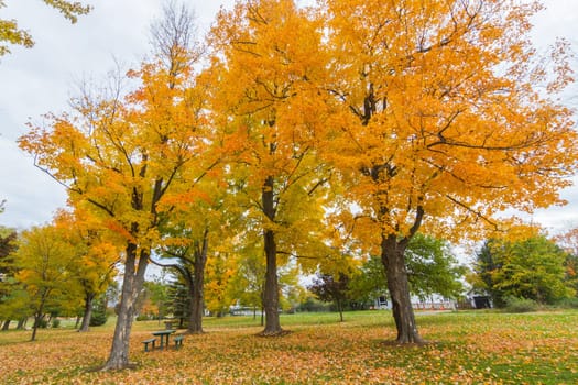 This photo was shot from Ottawa in autumn, Canada.