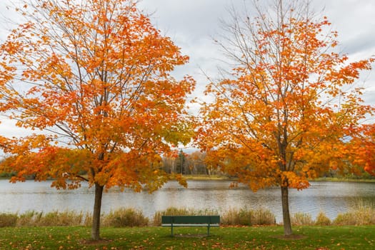 This photo was shot from Ottawa in autumn, Canada.