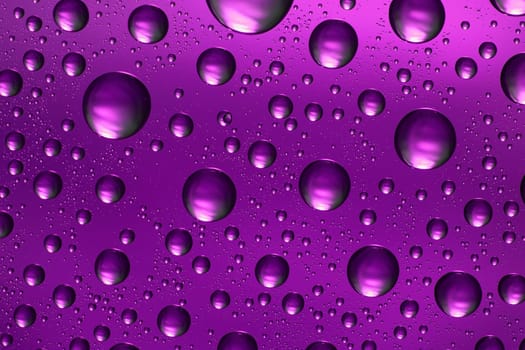 purple water drops on glass,could be used as background