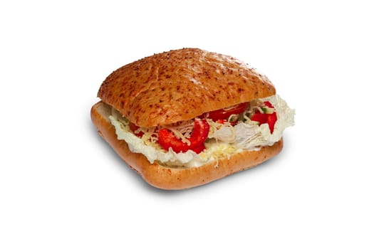 Layout for menu. Vegetarian burger with bell pepper, cabbage, cucumber and cheese