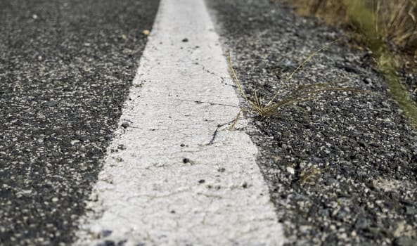 Detail of lines on a road, road safety