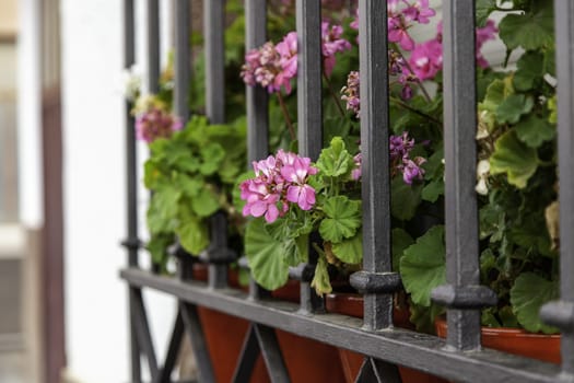 Detail of decoration with flowers on a facade