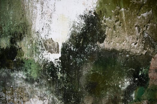 Fungi Green Moss Texture abstract background concrete wall. Rusty, Grungy, Gritty Vintage Background