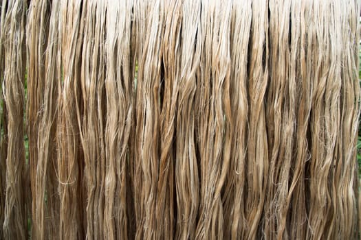 Close-up shot of raw jute fiber hanging under the sunlight for drying. Brown jute fiber texture and background. Golden fiber texture