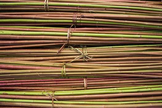 Red Green Raw Jute Texture background. This is the Called Golden Fiber in Bangladesh