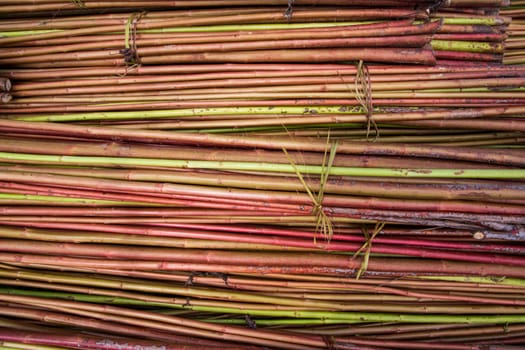 Red Green Raw Jute Texture background. This is the Called Golden Fiber in Bangladesh