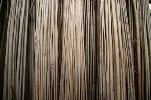 Rows and Rows of brown Jute Sticks Texture background of a field