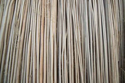 Rows and Rows of brown Jute Sticks Texture background of a field