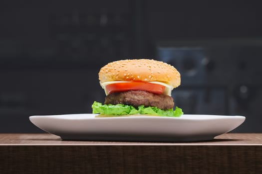 fresh tasty burger on plate on wooden table