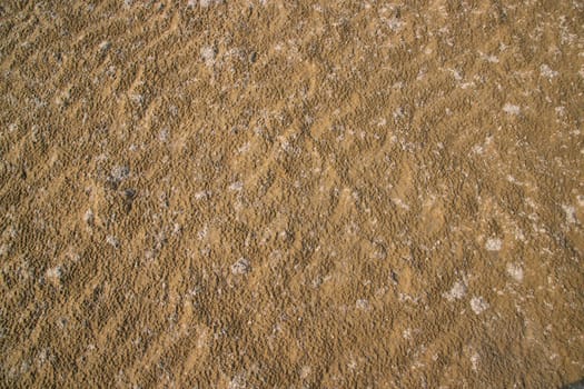 sand texture. wet sand textured background. sand textured beach