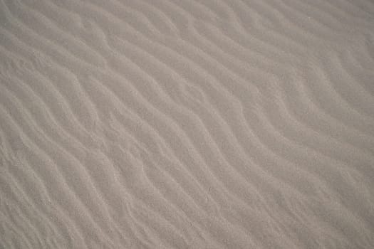 sand texture. wavy sand textured background. sand textured beach