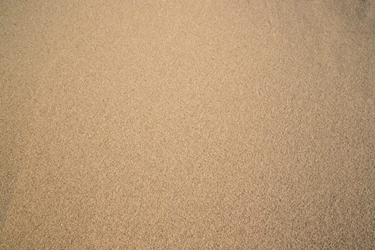 Sand Texture Background. sand textured beach