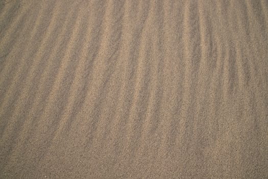 sand texture. wavy sand textured background. sand textured beach