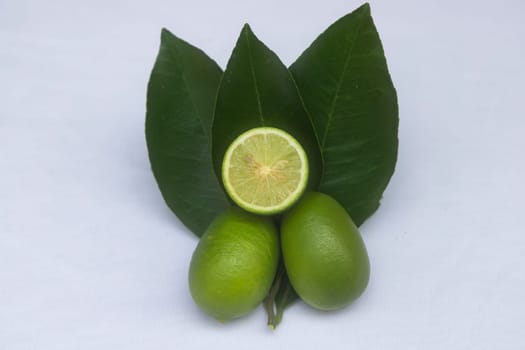 Fresh green lemon slice pieces with leaf. Testy lemon fruits. Refreshing summer drink ingredient