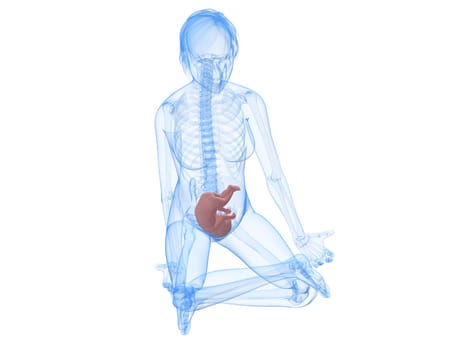 3d rendered illustration of a sitting pregnant woman