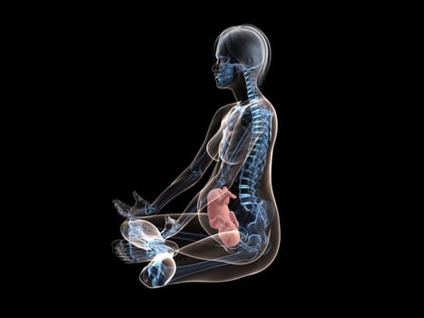 3d rendered illustration of a sitting pregnant woman