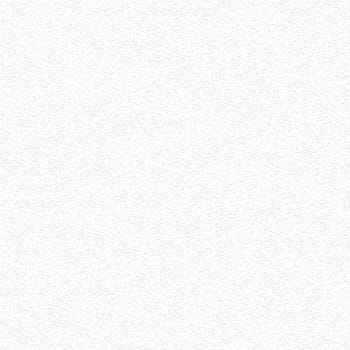 The Raster High Resolution Blank White Paper