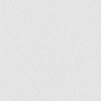 The Raster High Resolution Blank White Paper