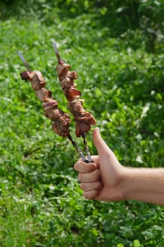 Hand with thumb up holding skewer with shashlik, img 15 of 17