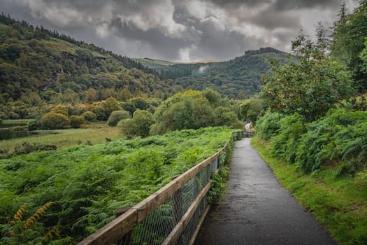 People hiking on a trail in Glendalough with misty autumn forest and mountains. Great outdoors, Wicklow, Ireland