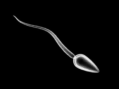 3d illustration of single sperm cell isolated over black background