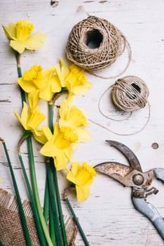 Top view of florist's tool and flower bouquet with narcissus and decorative ribbon.