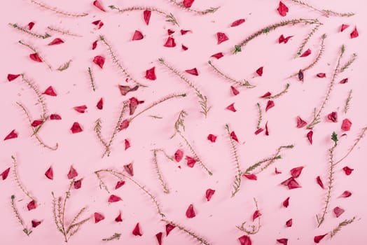 Floral pattern with flowers and petals over pink background. Flat lay. Valentine's day design from above.