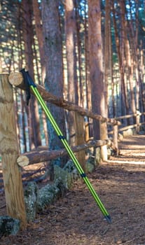 A pair of trekking poles at forest trail handrail. Sport equipment specialized in trekking