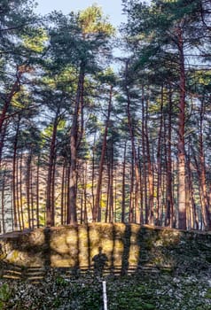 La Garganta ice well forest. Photographer shadow visible on rock. Banos de Montemayor, Caceres, Extremadura, Spain