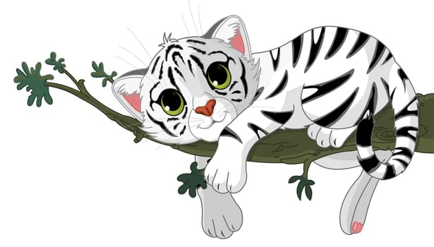 Cute white Tiger is on a branch