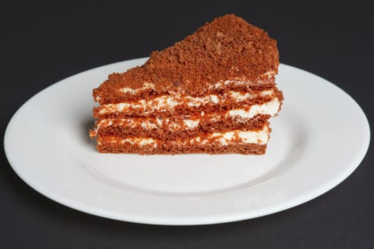 Piece of chocolate biscuit cake
