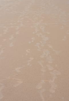 Footsteps on Sand. Footprints on Sandy Sea beach. Puri Orissa India.