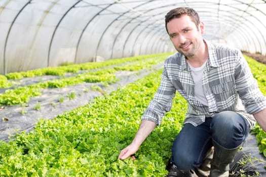 VIew of an attractive farmer in a greenhouse