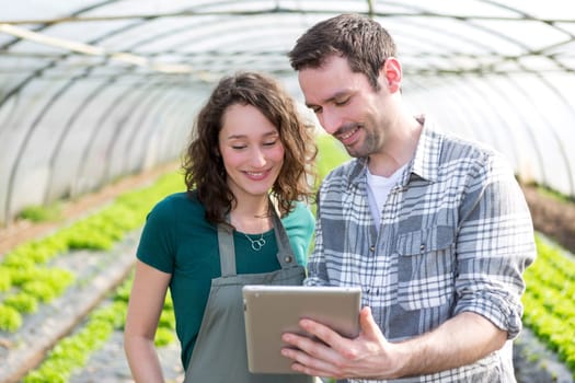 View of Farmers watching stats on tablet
