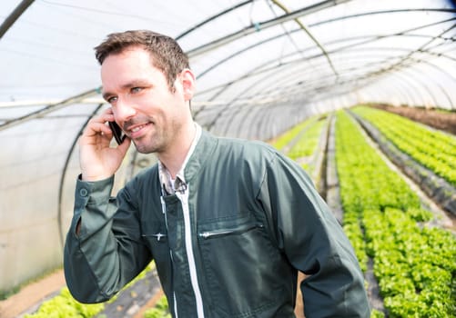 View of a Portrait of an attractive farmer in a greenhouse using mobile