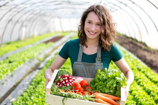 View of an Young attractive woman harvesting vegetable in a greenhouse