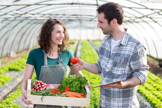 View of a Farmer teaching new employee to gardening