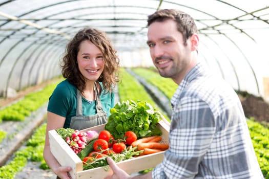 View of a Farmer teaching new employee to gardening