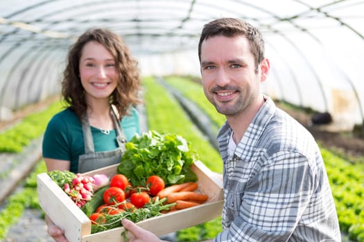 View of a Farmer teaching new employee to gardening