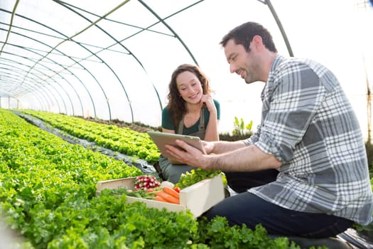 View of a Farmer teaching new employee to gardening