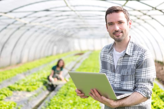 View of an attractive farmer in a greenhouse using laptop