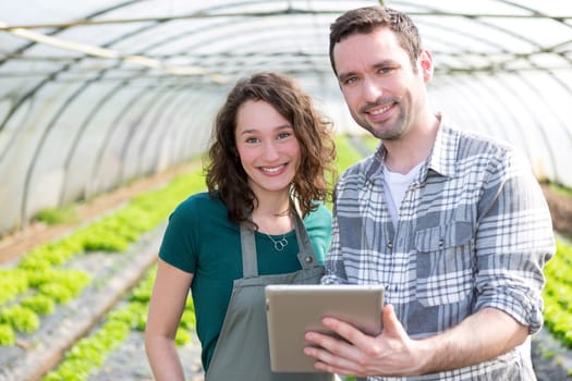 View of Farmers watching stats on tablet