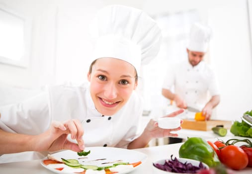 View of a Young attractive professional chef cooking in his kitchen
