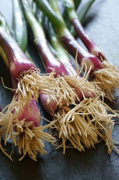Close up of a bunch of red scallions on a slate platter