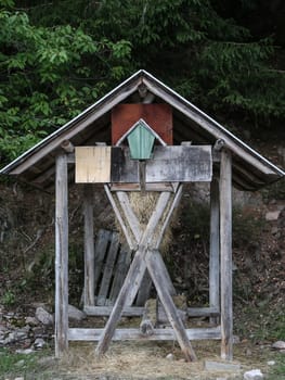 Futterstelle Wildtiere Ohra-Talsperre Luisenthal Thüringer Wald