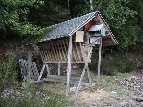 Futterstelle Wildtiere Ohra-Talsperre Luisenthal Thüringer Wald