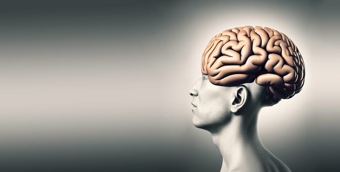 Head with a brain, Parkinson disease, Alzheimer awardness, mental disorder dementia, psychology problems, cerebral vein thrombosis, illustration