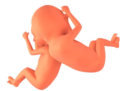 3d rendered illustration of two unborn foeten